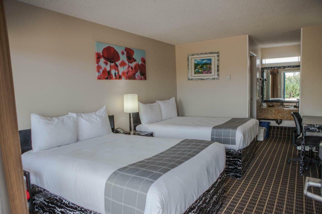 Canadian Motel North Battleford Kültér fotó